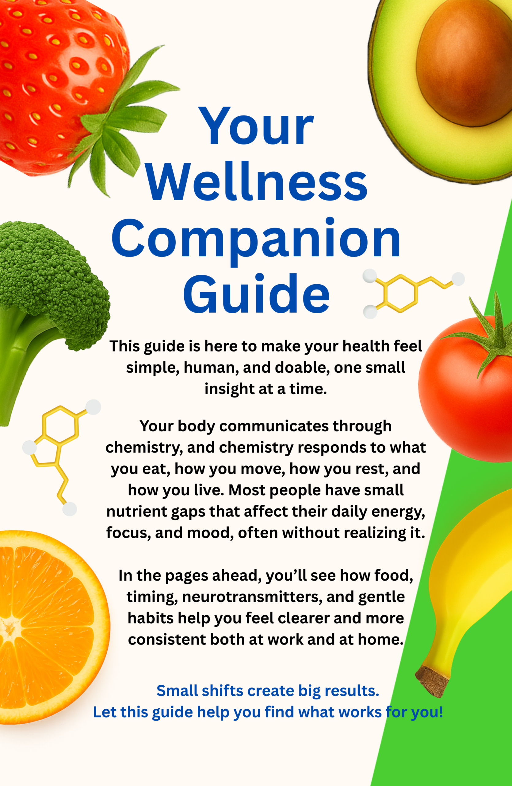 Companion Guide Page 3