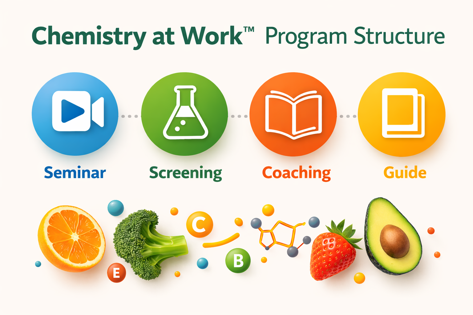 Program structure guide preview